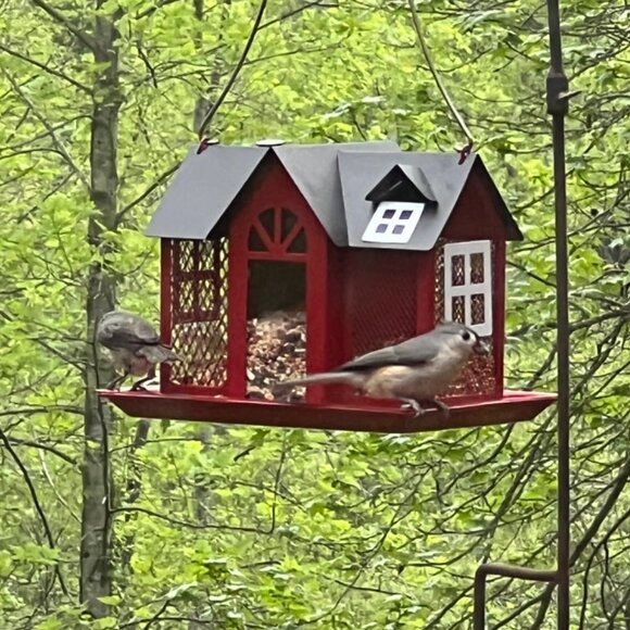Metal bird feeder house - Picture 3 of 8